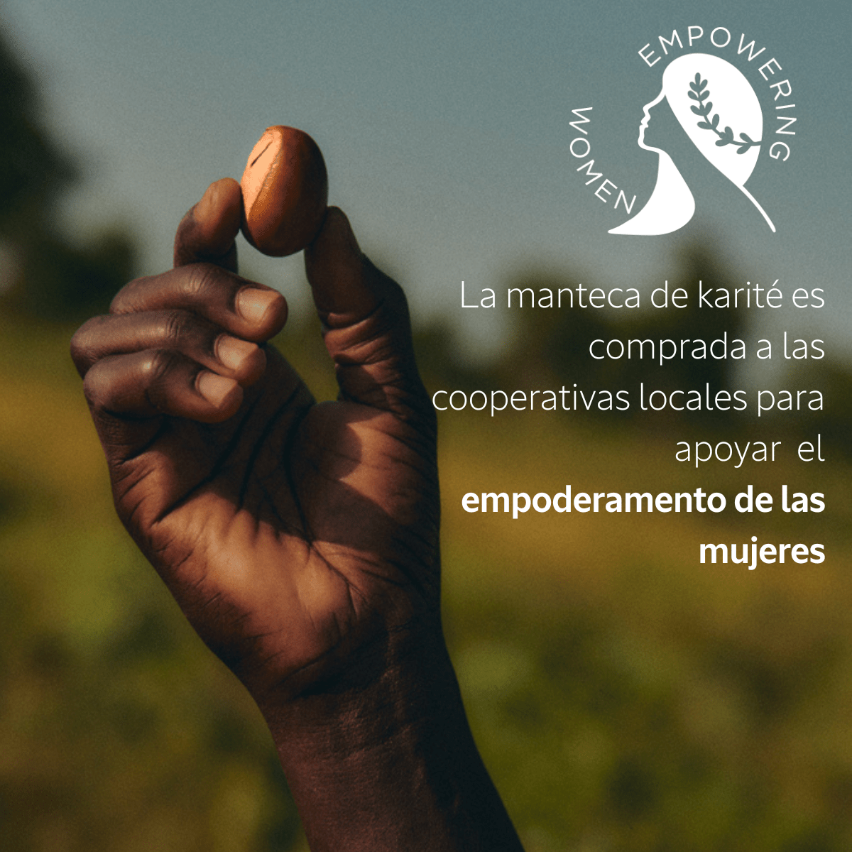 Crema Reconfortante Ligera De Karité