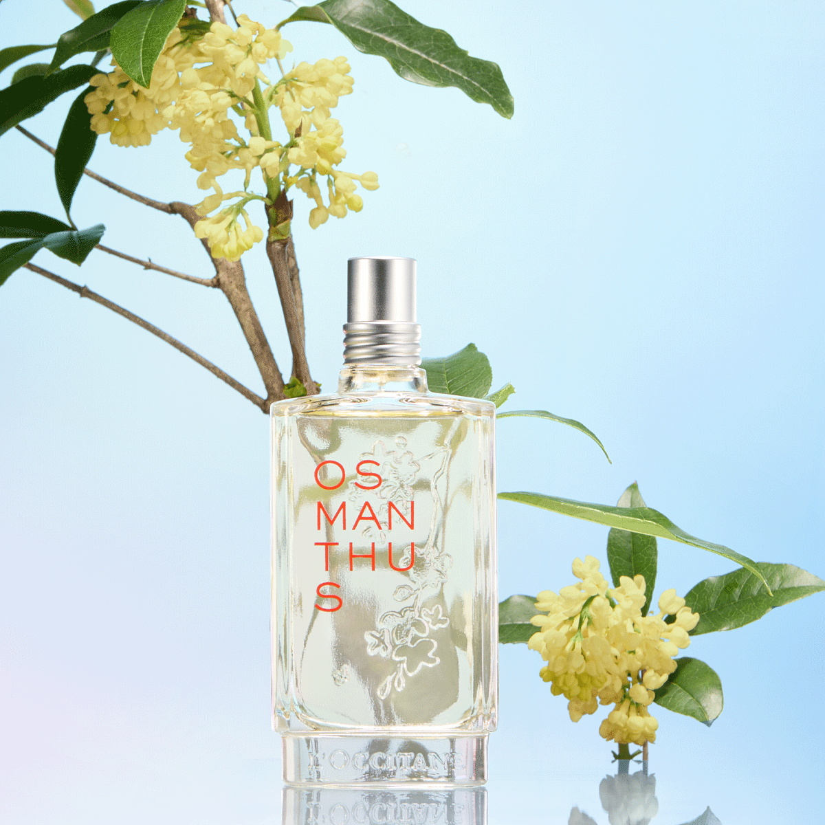 Eau De Toilette Osmanthus