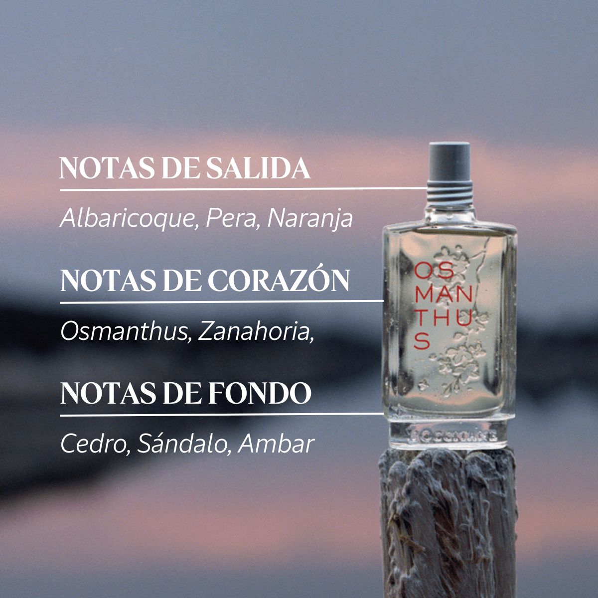 Eau De Toilette Osmanthus