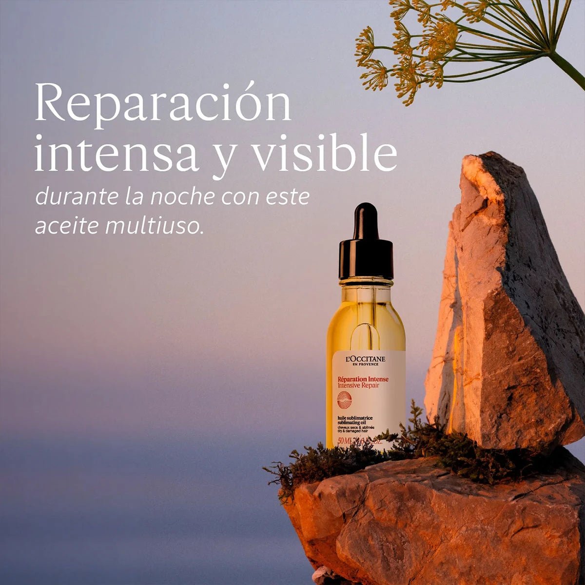 Aceite Infusionado Reparación Intensiva