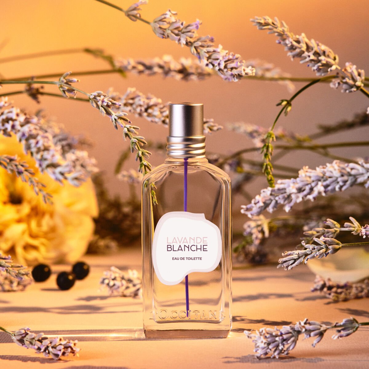 Eau De Toilette Lavanda Blanca - Edición Limitada