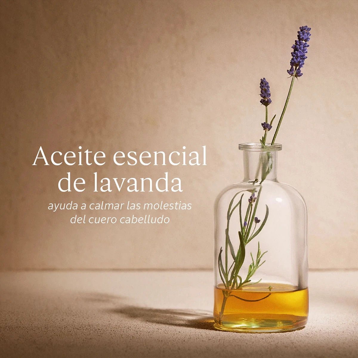 Acondicionador Equilibrio & Suavidad