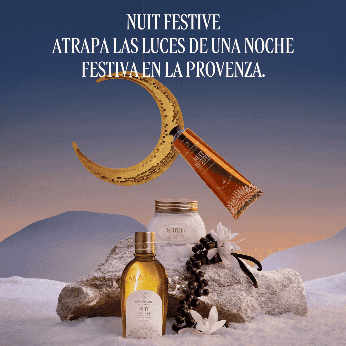 Nuit Festive concentrado de leche Normal BLOC40317