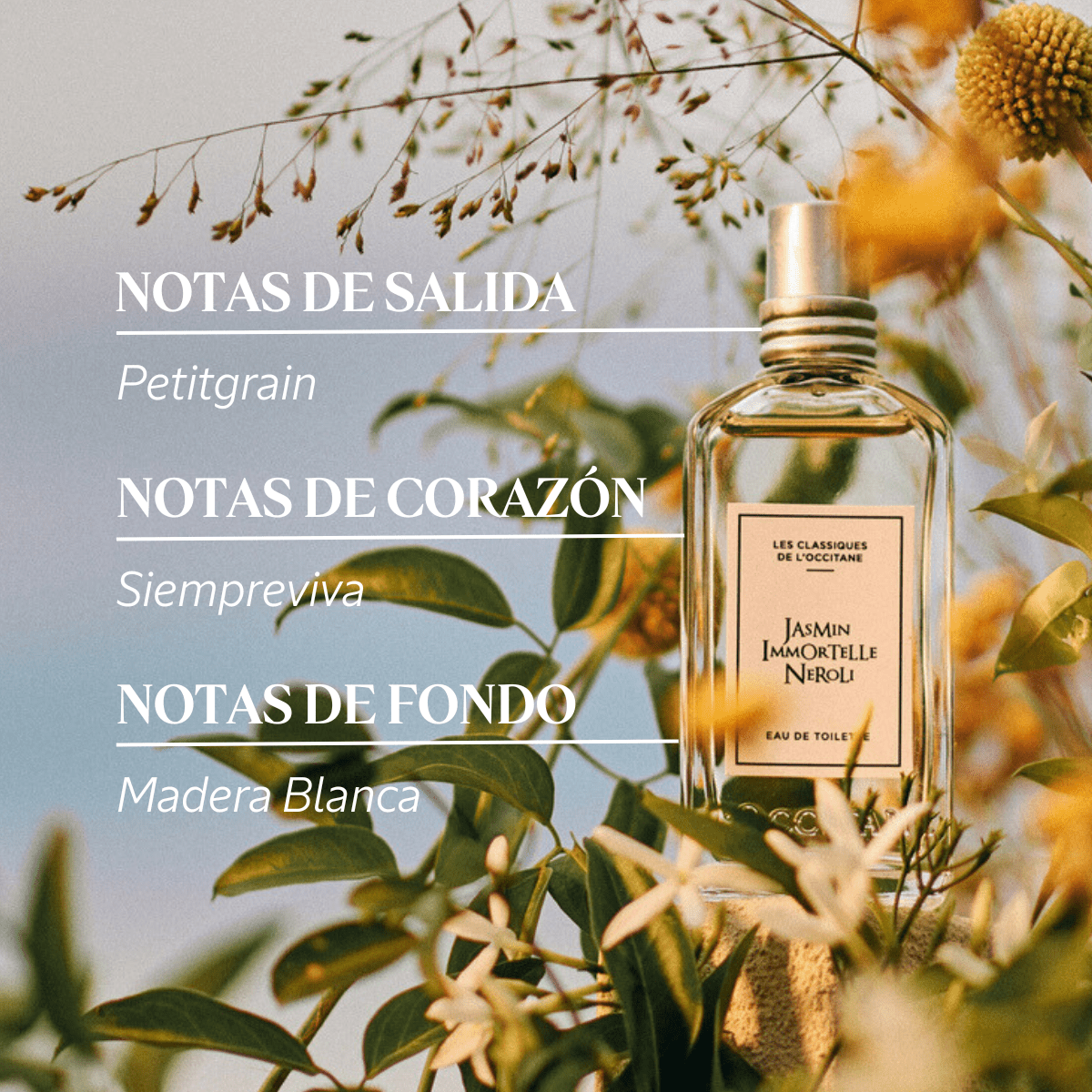 Eau De Toilette Jasmin Immortelle Néroli