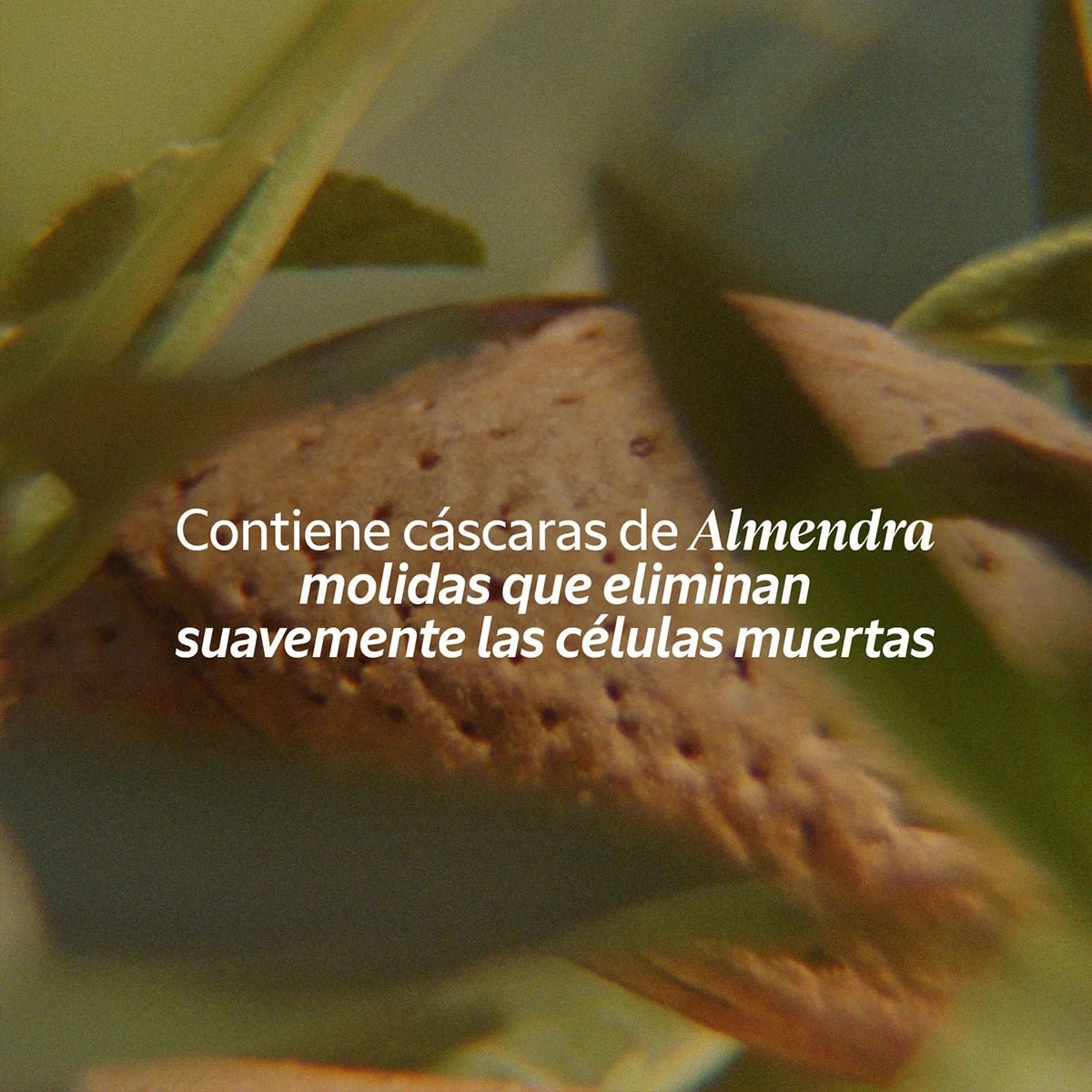 Jabón Goloso Almendra RSPO