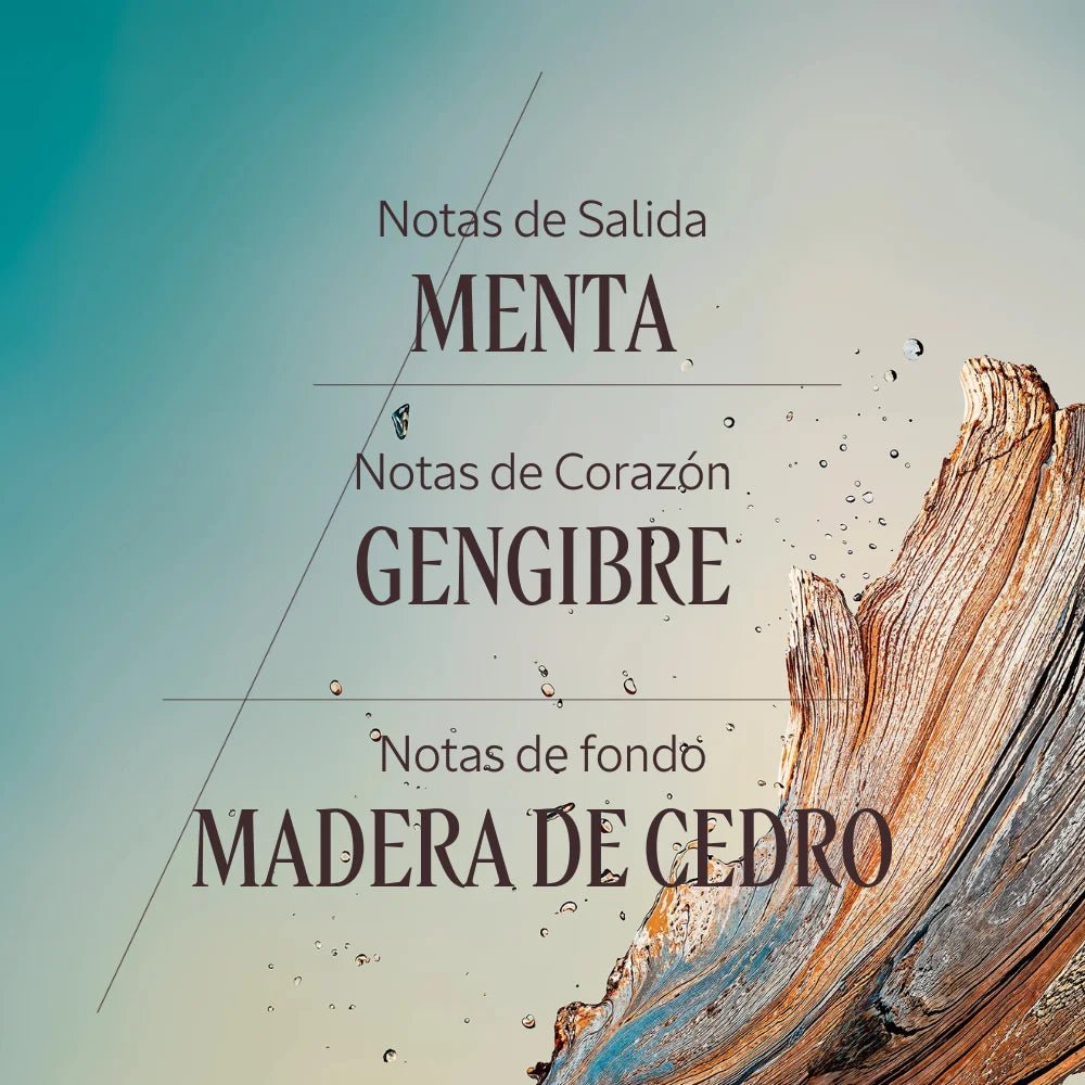 Cèdre Gingembre eau de toilette