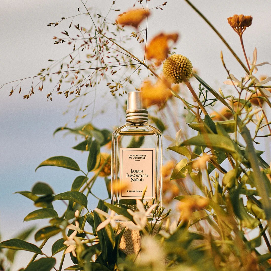 Eau De Toilette Jasmin Immortelle Néroli