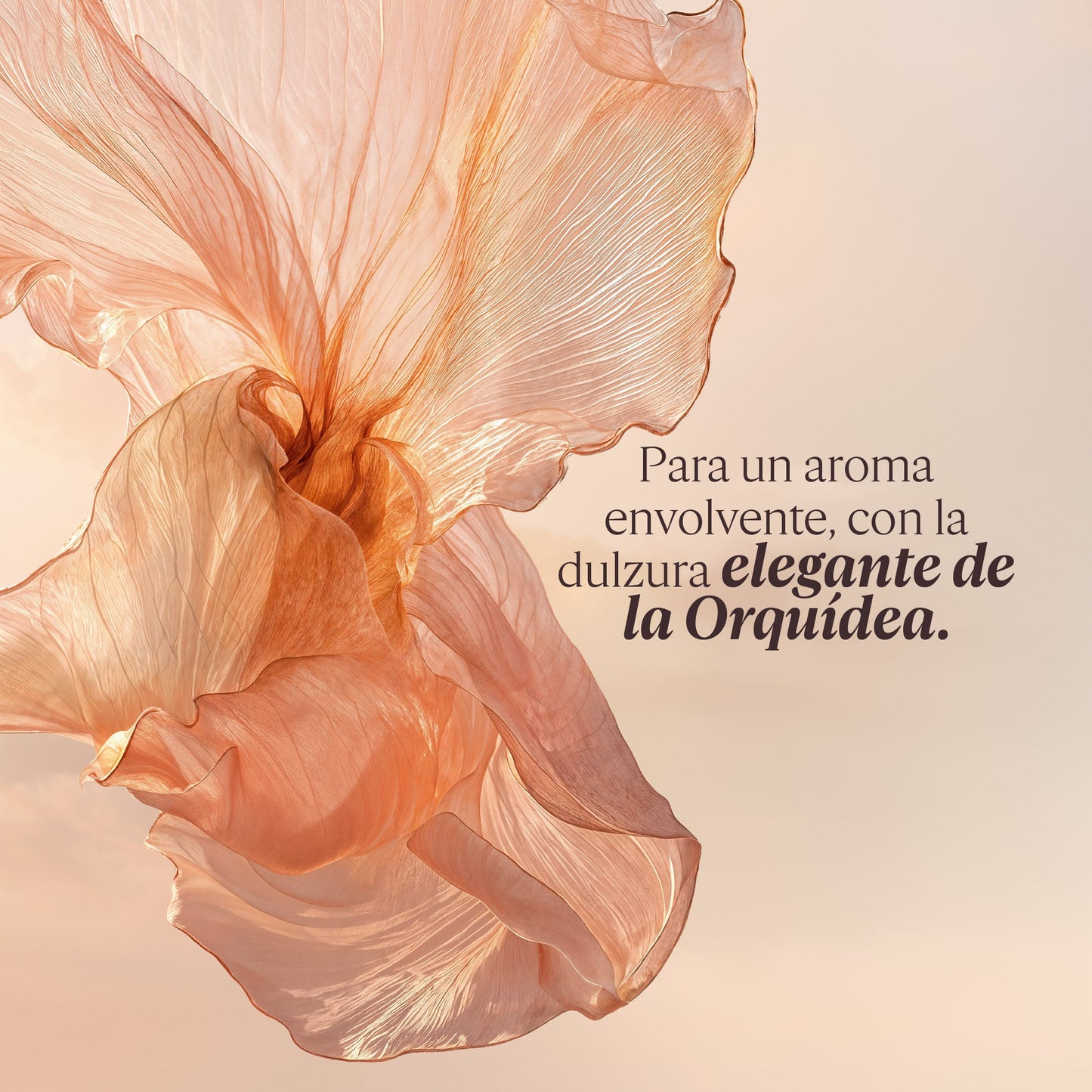 Loción Corporal Perfumada Néroli Orchidée