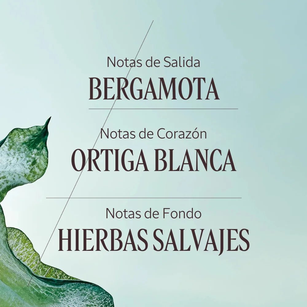 Ortie Blanche eau de parfum