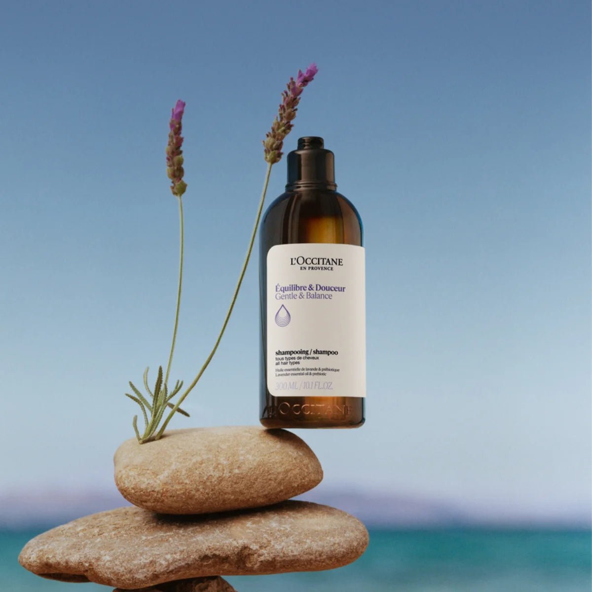 Shampoo Equilibrio & Suavidad