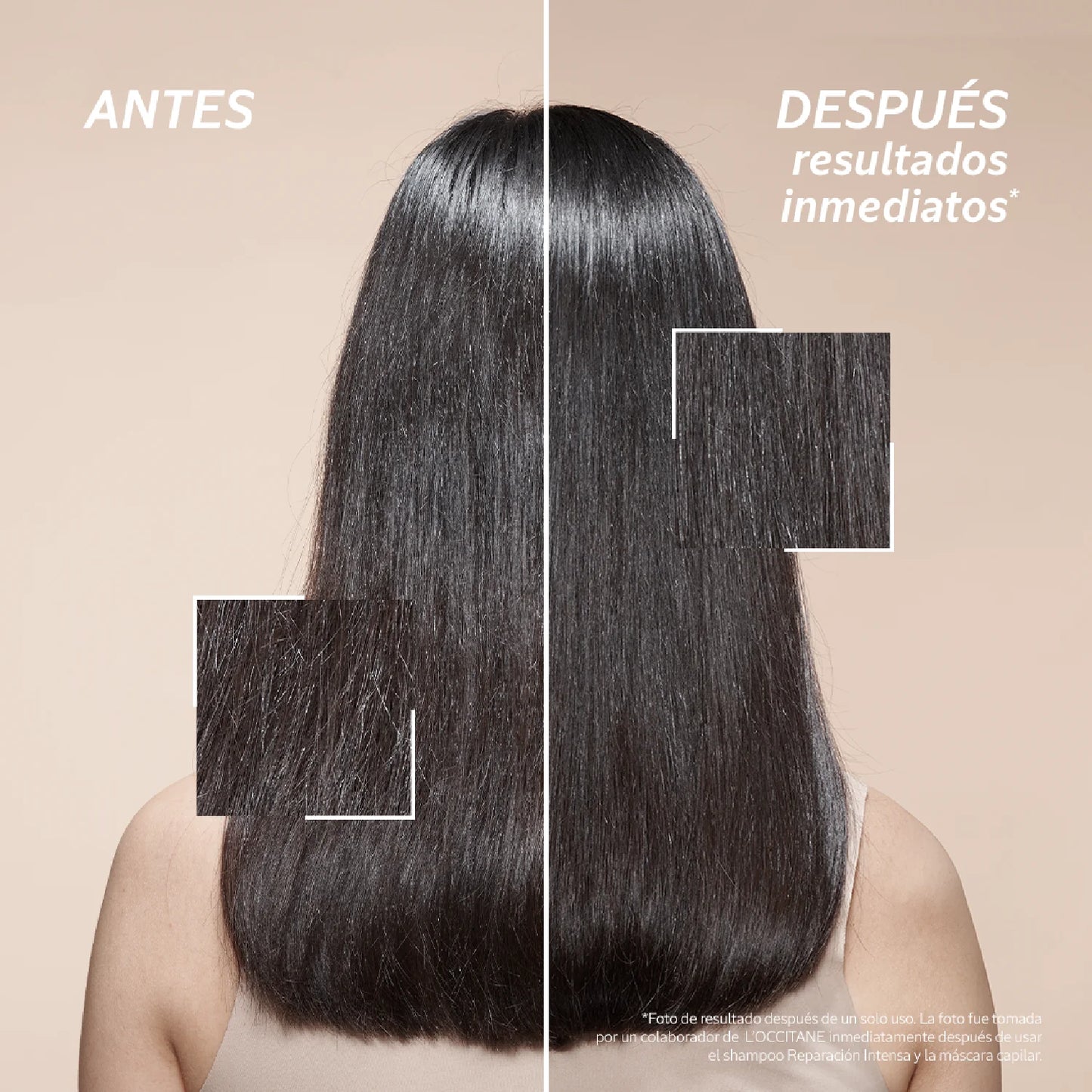Shampoo Reparación Intensiva