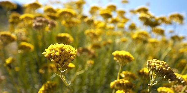 RESPETANDO BIODIVERSIDAD