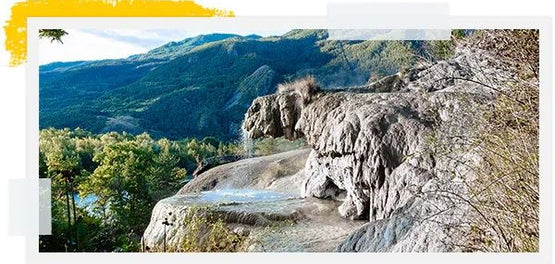 RESPETANDO BIODIVERSIDAD