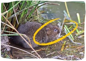 RESPETANDO BIODIVERSIDAD