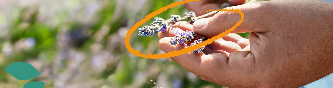 Compromisos de L'Occitane