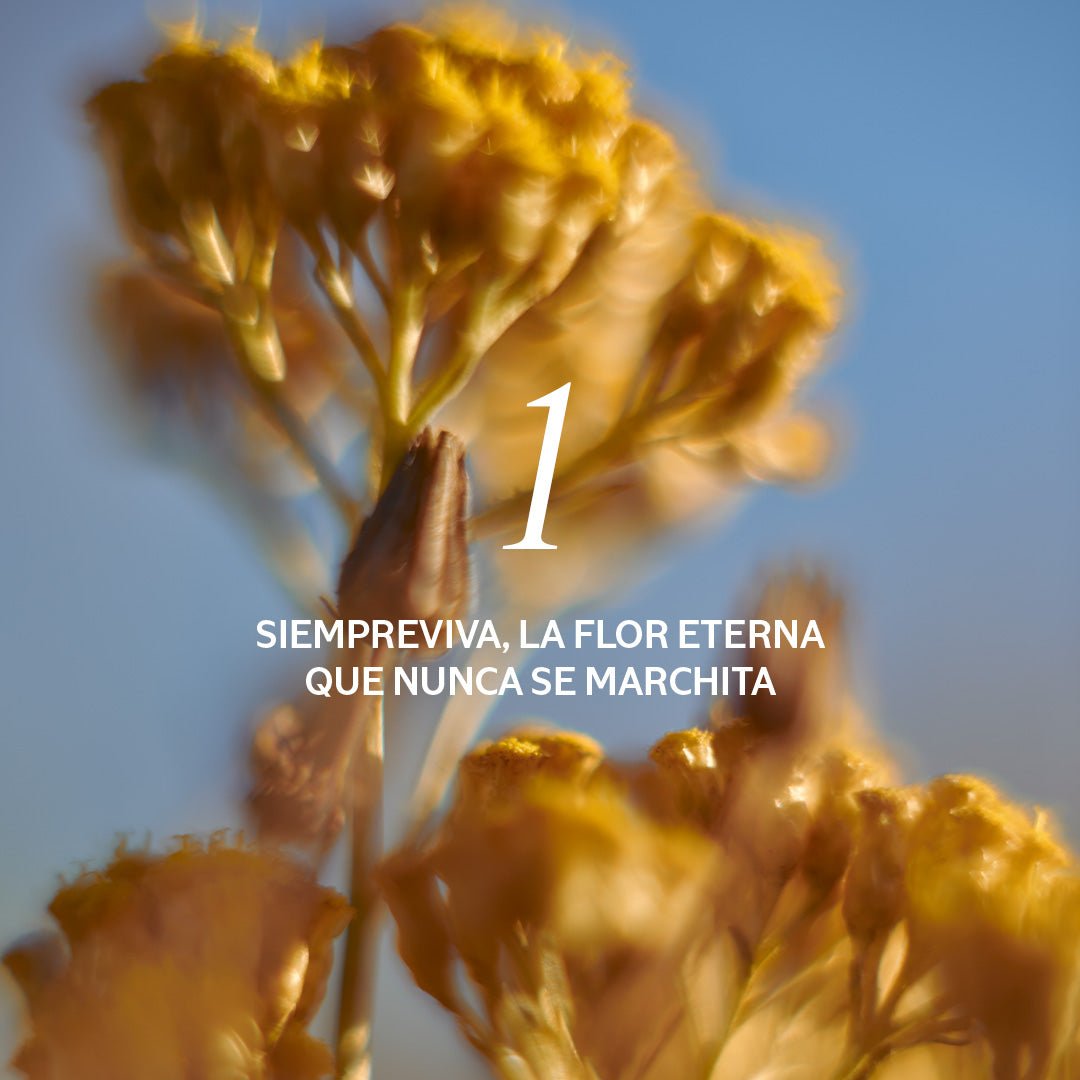 Crema Facial Divina Siempreviva