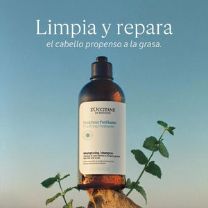 Shampoo Purificante