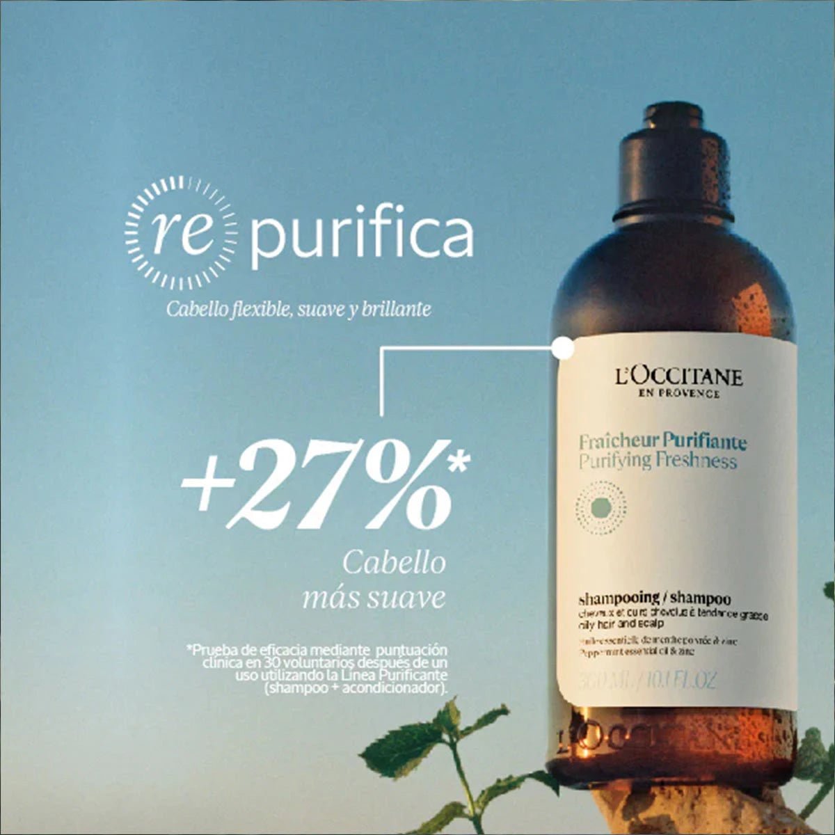 Shampoo Purificante