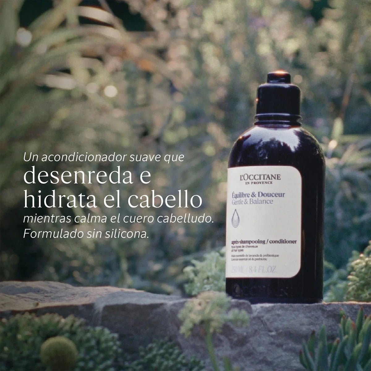 Acondicionador Equilibrio & Suavidad