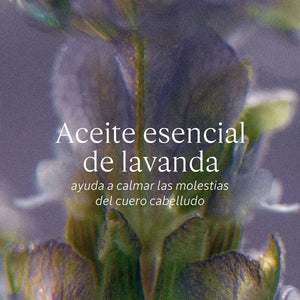 Shampoo Equilibrio & Suavidad