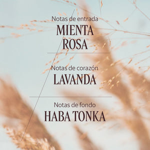 Eau de Toilette Terre de Lumière