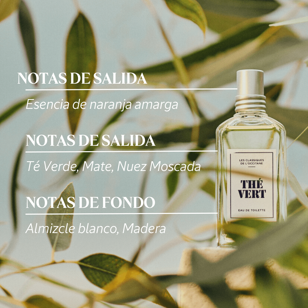Eau De Toilette Té Verde