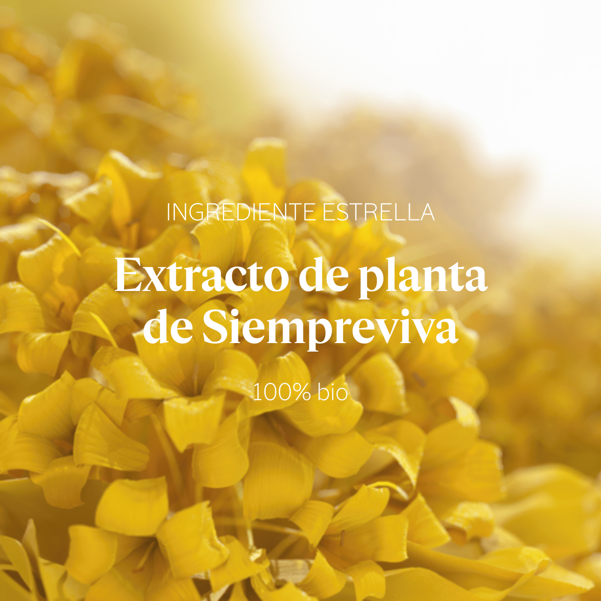 Sérum Juventud excepcional Harmonie Siempreviva