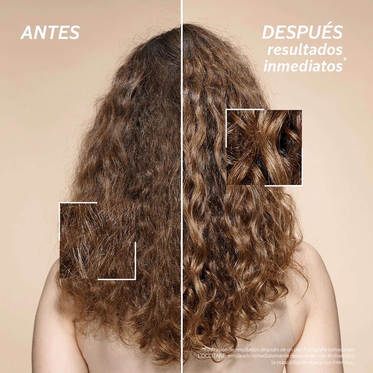 Shampoo Reparación Intensiva