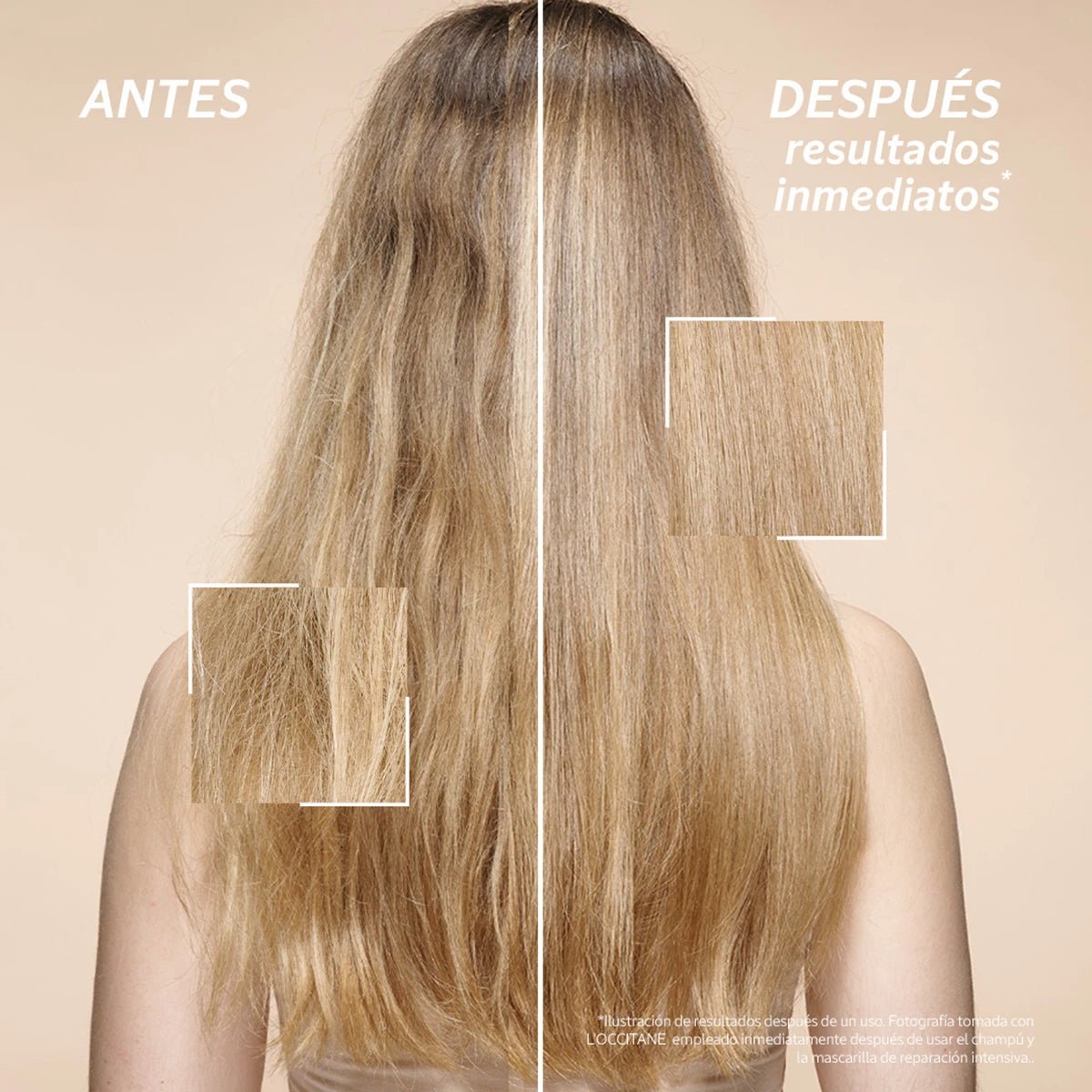 Shampoo Reparación Intensiva
