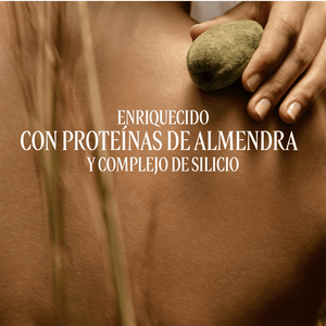 Leche Concentrada Amande Sublime