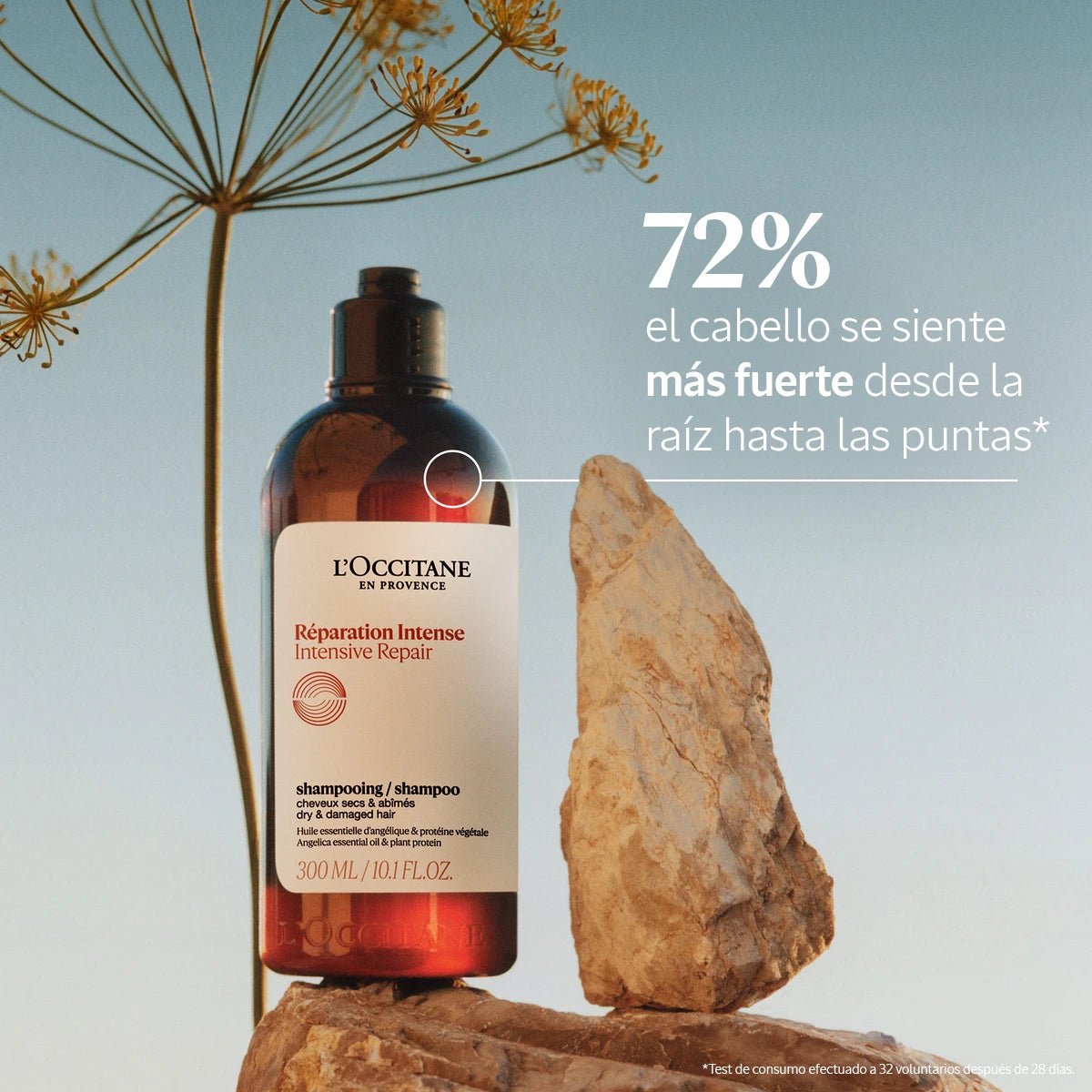 Shampoo Reparación Intensiva