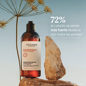 Shampoo Reparación Intensiva
