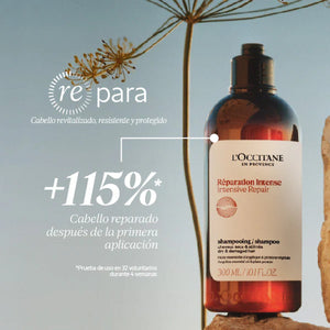 Shampoo Reparación Intensiva