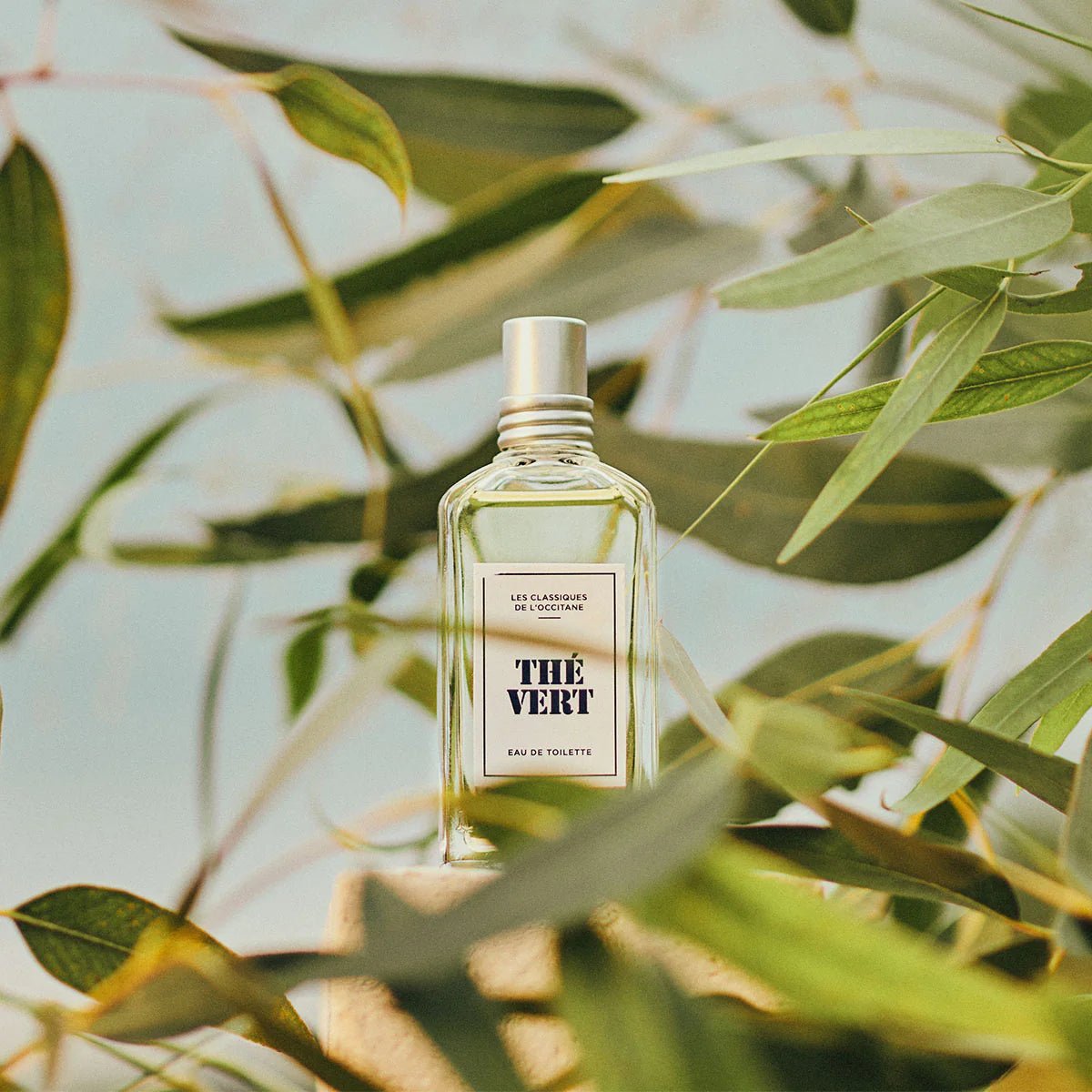 Eau De Toilette Té Verde