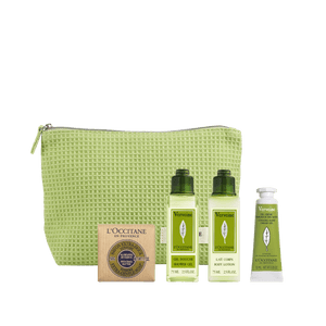 Discovery Kit verbena 