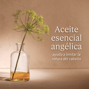 Recarga Shampoo Reparación Intensa