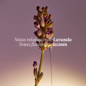 Eco Refill Jabón Líquido para Manos Karité Lavanda