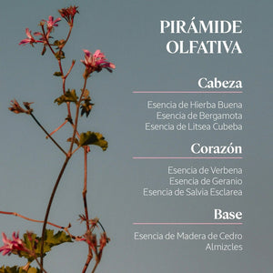 Verbena Geranio Eau de Toilette