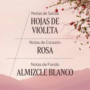 Rose eau de toilette