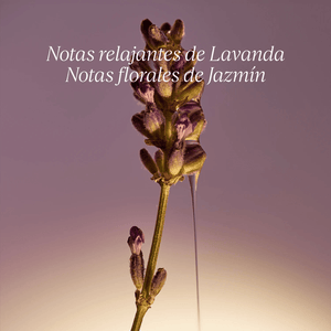 Jabón Karité Lavanda