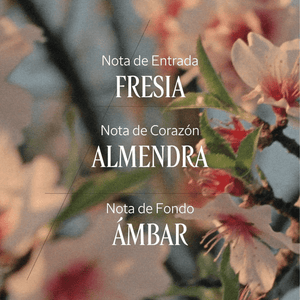 Bruma perfumada para Cabello y Cuerpo Almendra