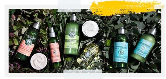 DISEÑO ECOLÓGICO: REPENSANDO NUESTRO EMPAQUE