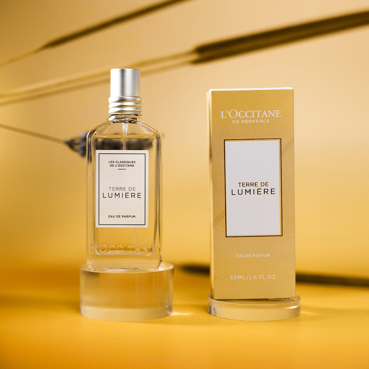 Terre de Lumière - Eau de Parfum